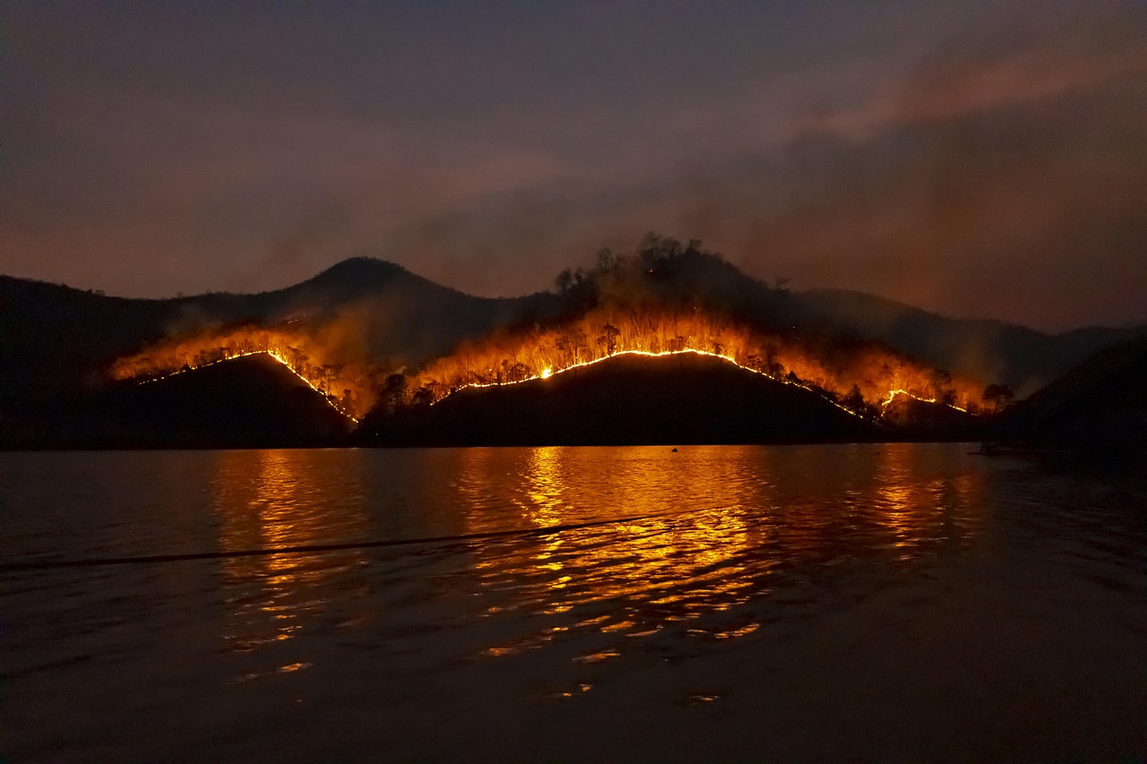 canada wildfire forest